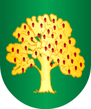 ESCUDO SIGUIENTE